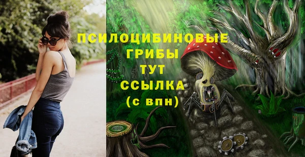 МДМА Алексин