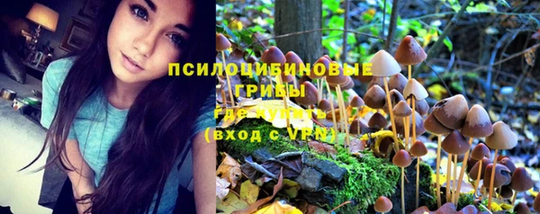 PSILOCYBIN Алексеевка