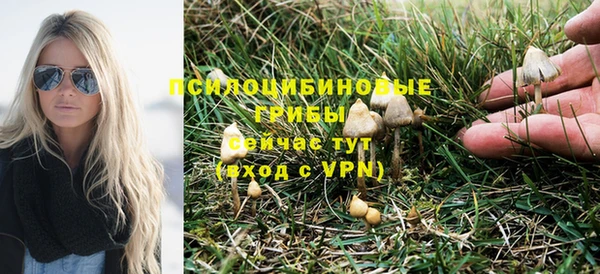 бутират Алзамай